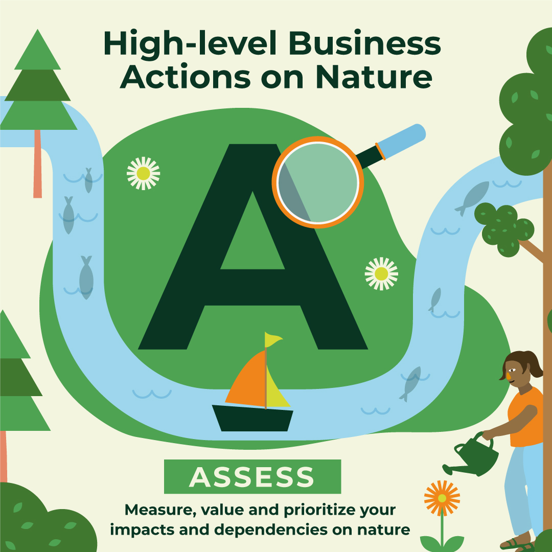 1. A (High-level business actions on nature).jpg